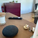 Urban Jungle Apartment In Kassel + Netflix
